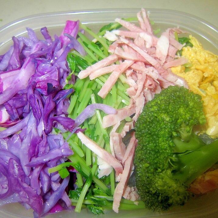 紫キャベツとハムエッグと水菜ブロッコリーのサラダ